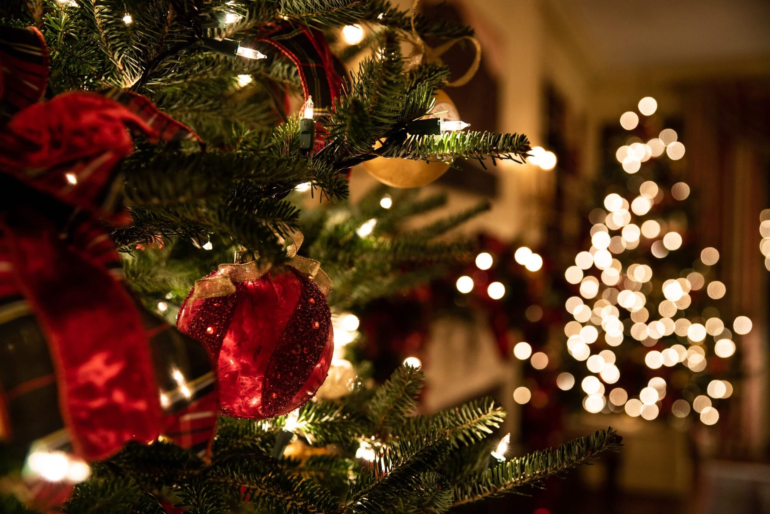 julgran